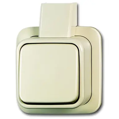 Busch-Jaeger 2601/6 APJ wisselschakelaar K/P-25 opbouw AP plus creme