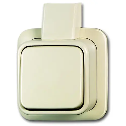 Busch-Jaeger 2601/6 APJ wisselschakelaar K/P-25 opbouw AP plus creme