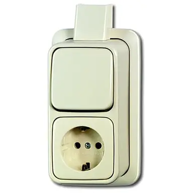Busch-Jaeger 2601/6/2300 EAPJ combinatie wisselschakelaar/wandcontactdoos met randaarde K/P-25 opbouw AP plus creme