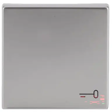 Busch-Jaeger 2520 TR-866 schakelwip symbool sleutel Pure Stainless Steel