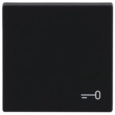 Busch-Jaeger 2520 TR-885 schakelwip symbool sleutel Future Linear zwart mat