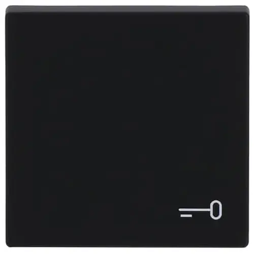 Busch-Jaeger 2520 TR-885 schakelwip symbool sleutel Future Linear zwart mat