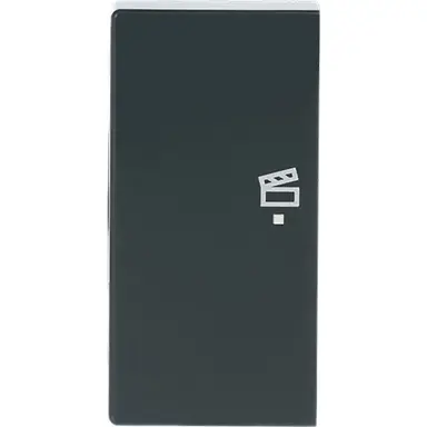 Busch-Jaeger 6233-21-81 bedieningswip links symbool scene tbv bedieningselement flex 2-voudig Future Linear antraciet glans