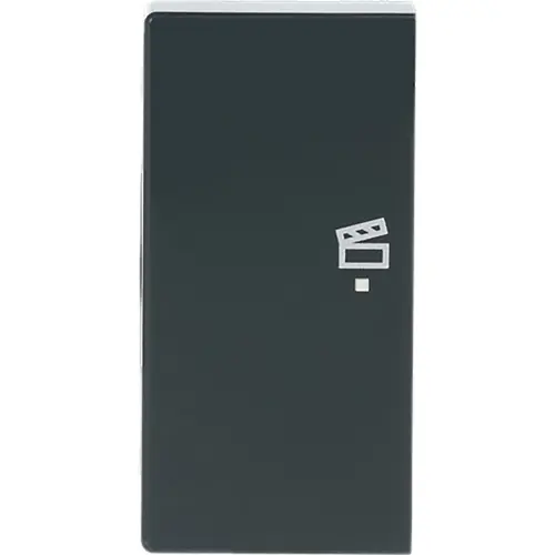 Busch-Jaeger 6233-21-81 bedieningswip links symbool scene tbv bedieningselement flex 2-voudig Future Linear antraciet glans