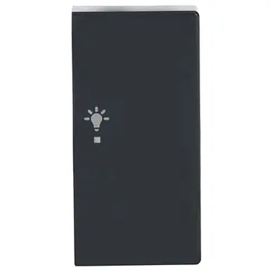 Busch-Jaeger 6231-22-81 bedieningswip rechts symbool licht tbv bedieningselement flex 2-voudig Future Linear antraciet glans