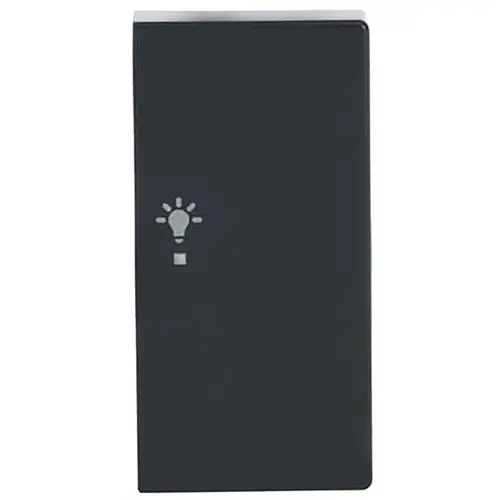 Busch-Jaeger 6231-22-81 bedieningswip rechts symbool licht tbv bedieningselement flex 2-voudig Future Linear antraciet glans