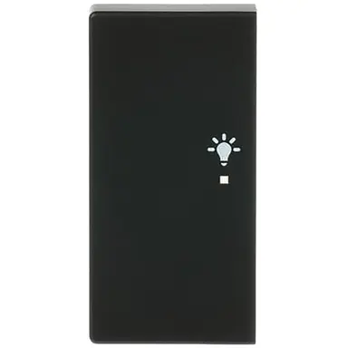 Busch-Jaeger 6231-21-885 bedieningswip links symbool licht tbv bedieningselement flex 2-voudig Future Linear zwart mat