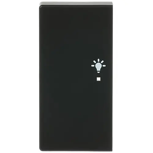 Busch-Jaeger 6231-21-885 bedieningswip links symbool licht tbv bedieningselement flex 2-voudig Future Linear zwart mat