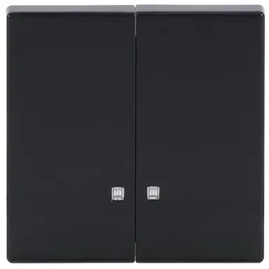 Busch-Jaeger 1785 K-81 schakelwip 2-voudig met controlevenster Future Linear antraciet glans