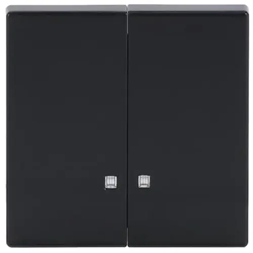 Busch-Jaeger 1785 K-81 schakelwip 2-voudig met controlevenster Future Linear antraciet glans