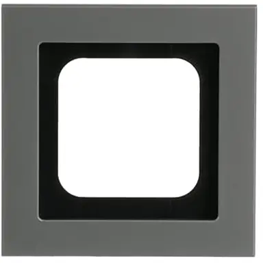 Busch-Jaeger 1721-270 afdekraam 1-voudig Axcent platin