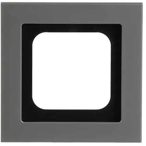 Busch-Jaeger 1721-270 afdekraam 1-voudig Axcent platin