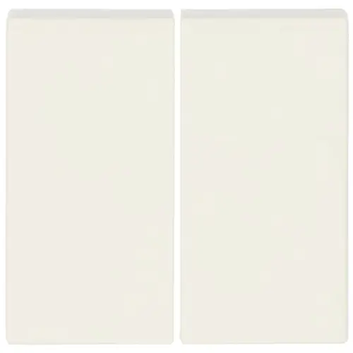 Busch-Jaeger 6736 FoH-82 Friends of Hue schakelwip 2-voudig Future Linear creme glans