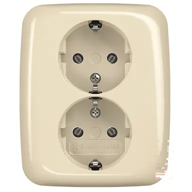 Busch-Jaeger 202 EUJR-212 wandcontactdoos 2-voudig randaarde voor enkele inbouwdoos Standaard SI