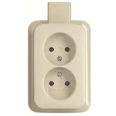 Busch-Jaeger 202 APJ wandcontactdoos 2-voudig zonder randaarde met plaat opbouw AP plus creme
