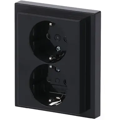 Busch-Jaeger 202 EUJRB-81 wandcontactdoos randaarde kindveilig 2-voudig Future Linear antraciet glans