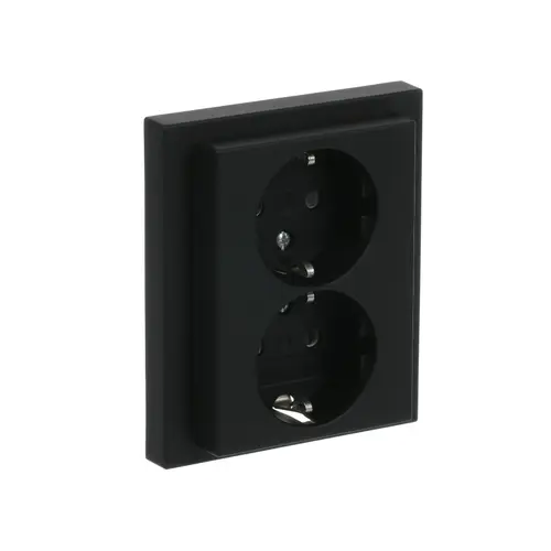 Busch-Jaeger 202 EUJRB-885 wandcontactdoos 2-voudig randaarde kindveilig voor enkele inbouwdoos Future Linear zwart mat