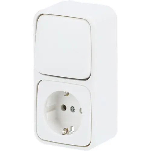 Busch-Jaeger 2601/6/2300EAPW500 combinatie wisselschakelaar/wandcontactdoos met randaarde opbouw AP plus wit