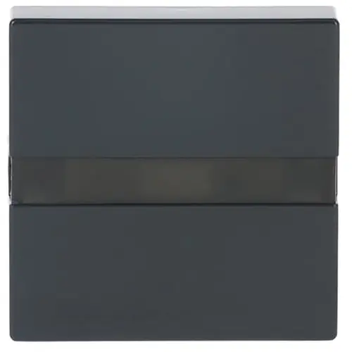 Busch-Jaeger 64765-81 comfortschakelaar flex-bedieningselement met oriëntatieverlichting Future Linear antraciet