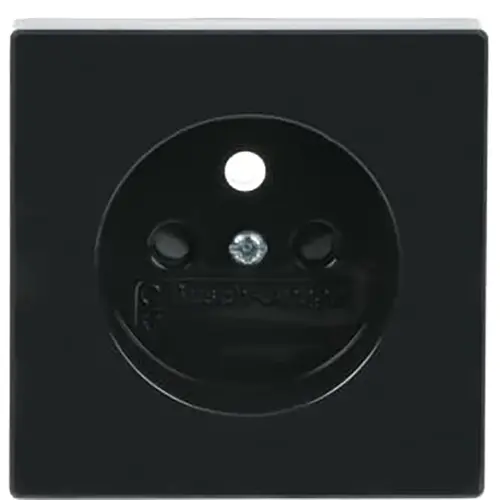 Busch-Jaeger 2399 UCKS-81 centraalplaat voor wandcontactdoos met penaarde Future Linear antraciet glans