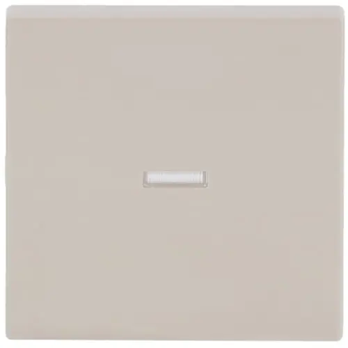 Busch-Jaeger 1789 N-82 schakelwip controlevenster klein Future Linear creme