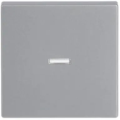 Busch-Jaeger 1789 N-83 schakelwip controlevenster transparant Future Linear aluzilver