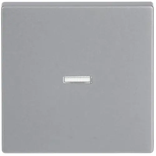 Busch-Jaeger 1789 N-83 schakelwip controlevenster transparant Future Linear aluzilver