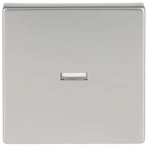 Busch-Jaeger 1789 N-866 schakelwip controlevenster lens klein transparant Pure Stainless Steel