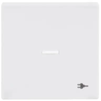 Busch-Jaeger 1789 ST-84 schakelwip controlevenster symbool stekker Future Linear studiowit glans