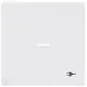 Busch-Jaeger 1789 ST-84 schakelwip controlevenster symbool stekker Future Linear studiowit glans