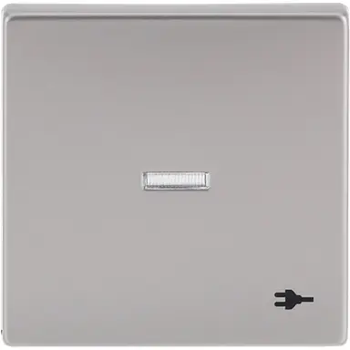 Busch-Jaeger 1789 ST-866 schakelwip met controlevenster en symbool stekker Future Linear Pure Stainless Steel