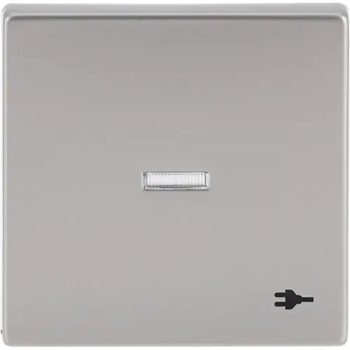 Busch-Jaeger 1789 ST-866 schakelwip met controlevenster en symbool stekker Future Linear Pure Stainless Steel