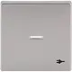 Busch-Jaeger 1789 ST-866 schakelwip met controlevenster en symbool stekker Future Linear Pure Stainless Steel