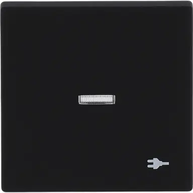 Busch-Jaeger 1789 ST-885 schakelwip controlevenster symbool stekker Future Linear zwart mat