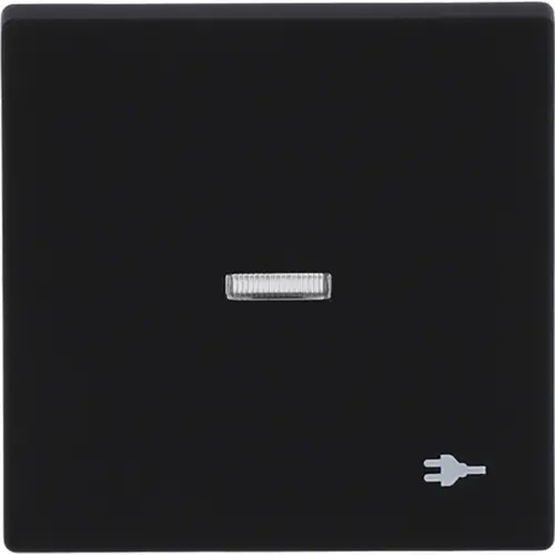 Busch-Jaeger 1789 ST-885 schakelwip controlevenster symbool stekker Future Linear zwart mat