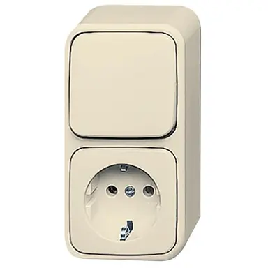 Busch-Jaeger 2601/6/2300 EAP500 combinatie wisselschakelaar/wandcontactdoos met randaarde opbouw AP plus creme