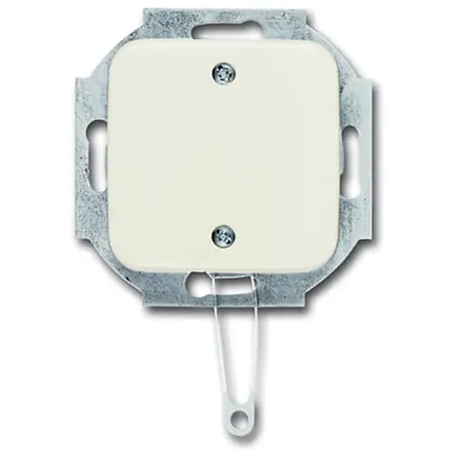 Busch-Jaeger 2610/6 UC-212-503 trekschakelaar centraalplaat Standaard SI voor montage in afdekraam