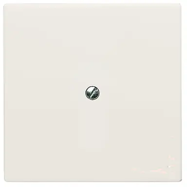 Busch-Jaeger 2138-32 blindplaat incl. draagframe IP44 creme