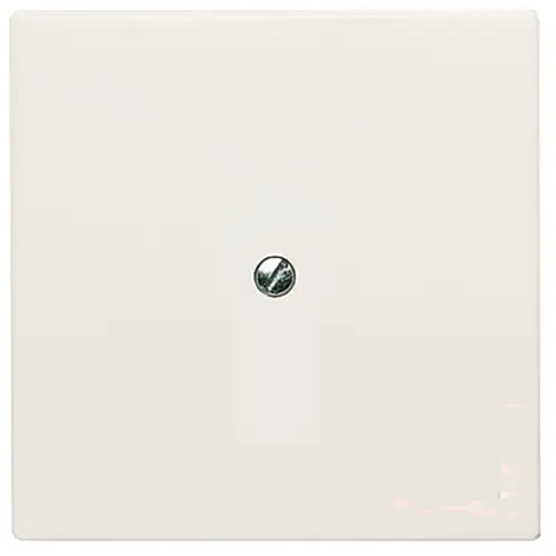 Busch-Jaeger 2138-32 blindplaat incl. draagframe IP44 creme
