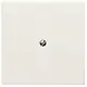 Busch-Jaeger 2138-32 blindplaat incl. draagframe IP44 creme