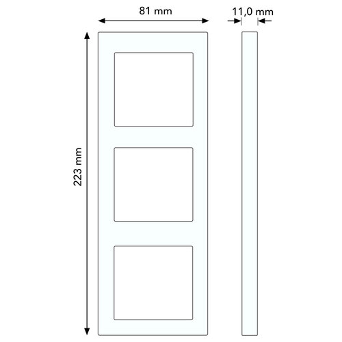 Busch-Jaeger 2513-212K-102 afdekraam-Linear 3-voudig Standaard SI