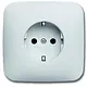 Busch-Jaeger 20 EUJR-214-503 wandcontactdoos randaarde volle afdekplaat Reflex SI