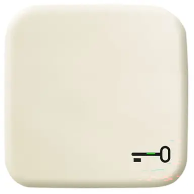 Busch-Jaeger 2520 TR-212 schakelwip symbool sleutel Standaard SI