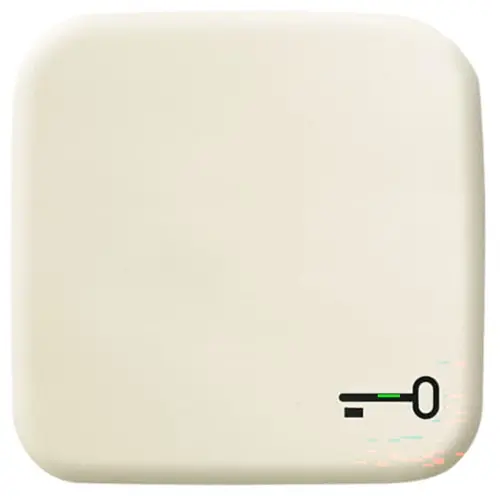 Busch-Jaeger 2520 TR-212 schakelwip symbool sleutel Standaard SI