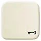 Busch-Jaeger 2520 TR-212 schakelwip symbool sleutel Standaard SI