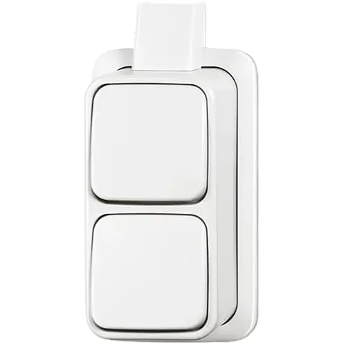 Busch-Jaeger 2601/6/2601/6 APJW wissel/wisselschakelaar K/P-25 opbouw AP plus wit