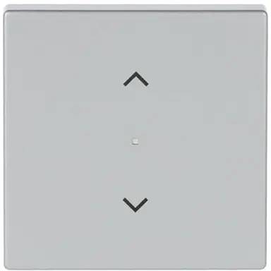 Busch-Jaeger 6232-10-83 bedieningswip 1-voudig met pijlsymbolen tbv bedieningselement flex Future Linear aluzilver mat
