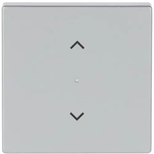 Busch-Jaeger 6232-10-83 bedieningswip 1-voudig met pijlsymbolen tbv bedieningselement flex Future Linear aluzilver mat