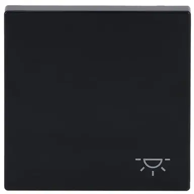 Busch-Jaeger 2520 LI-81 schakelwip symbool licht Future Linear antraciet glans