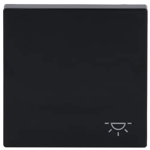 Busch-Jaeger 2520 LI-81 schakelwip symbool licht Future Linear antraciet glans